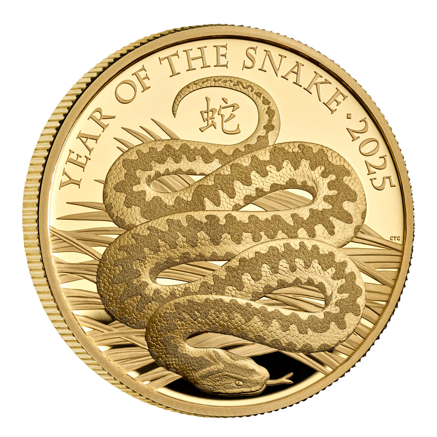 Obverse image