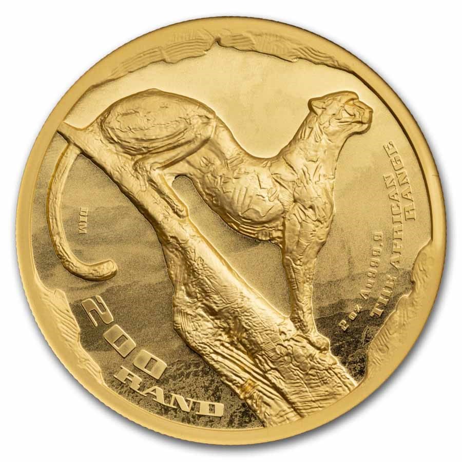 2026 African Range Surveying Cheetah obverse on Bullion Tracker